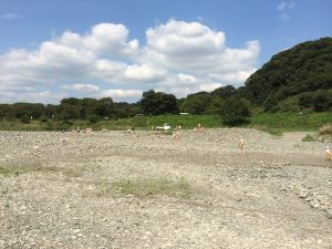 年長さん 相模川上大島キャンプ場へ